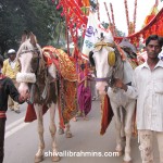 Vidhyapeeta_Krishnashtami (10)