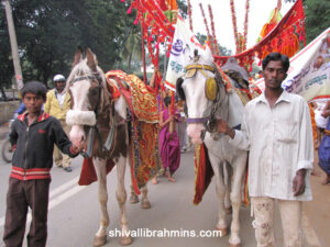 Vidhyapeeta_Krishnashtami (10)