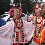 Vidhyapeeta_Krishnashtami (12)