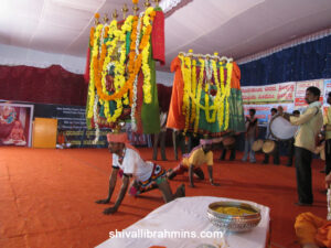Vidhyapeeta_Krishnashtami (26)