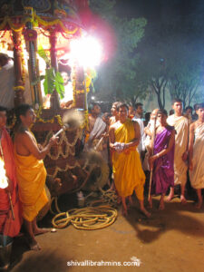 Vidhyapeeta_Krishnashtami (27)