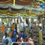 Vidhyapeeta_Krishnashtami (32)
