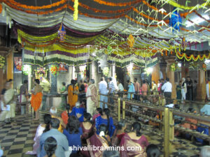 Vidhyapeeta_Krishnashtami (32)