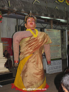Vidhyapeeta_Krishnashtami (33)