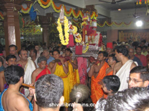 Vidhyapeeta_Krishnashtami (36)