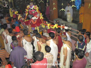 Vidhyapeeta_Krishnashtami (38)