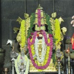 Vidhyapeeta_Krishnashtami (39)