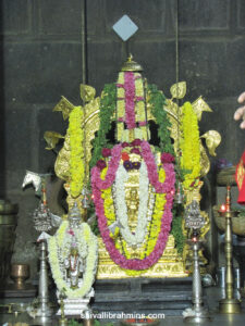 Vidhyapeeta_Krishnashtami (39)