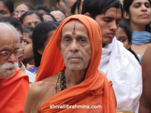 Vidhyapeeta_Krishnashtami (4)