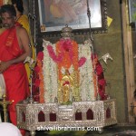 Vidhyapeeta_Krishnashtami (40)