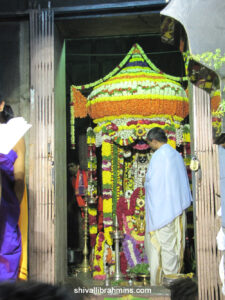 Vidhyapeeta_Krishnashtami (41)