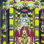 Vidhyapeeta_Krishnashtami (42)
