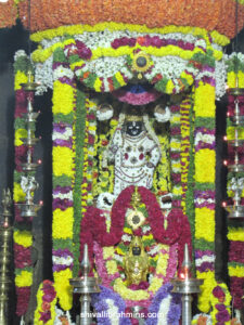 Vidhyapeeta_Krishnashtami (42)