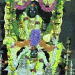 Vidhyapeeta_Krishnashtami (43)