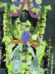 Vidhyapeeta_Krishnashtami (43)
