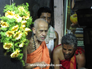 Vidhyapeeta_Krishnashtami (44)