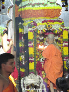 Vidhyapeeta_Krishnashtami (49)