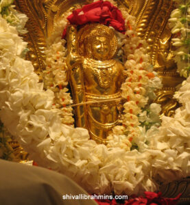 Vidhyapeeta_Krishnashtami (52)