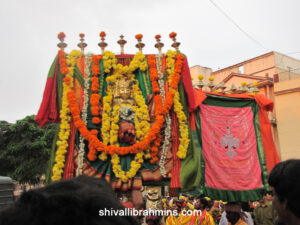 Vidhyapeeta_Krishnashtami (7)