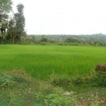 Sri Somanatheshwara Cave temple, Nellitheertha (11)