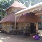 DSC00740