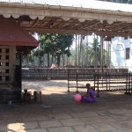 DSC00741