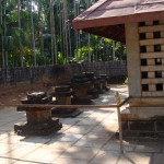 DSC00742