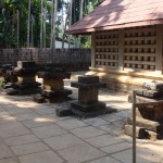 DSC00743