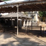 DSC00746