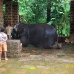 Kateel Temple (14)