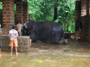 Kateel Temple  (14)