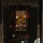 Pajaka (11)