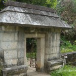 Pajaka (29)