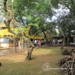 Southadka Shri Mahaganapathi Temple (2) Southadka Shri Mahaganapathi Temple (2)