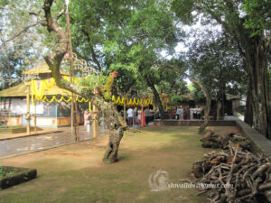 Southadka Shri Mahaganapathi Temple (2)