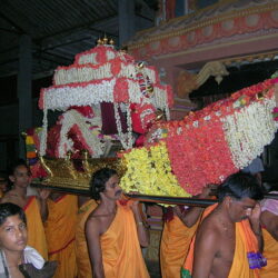 Devotees carrying Shri Durga during Rathotsava