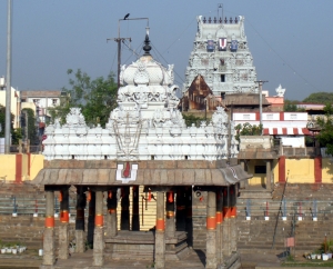 Paarthasarathy Temple, Thiruvallikeni 